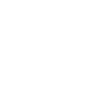 web craft studio link / logo